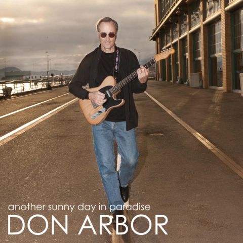Professional concept illustration for don arbor delivers island-infused single “another sunny day in paradise”