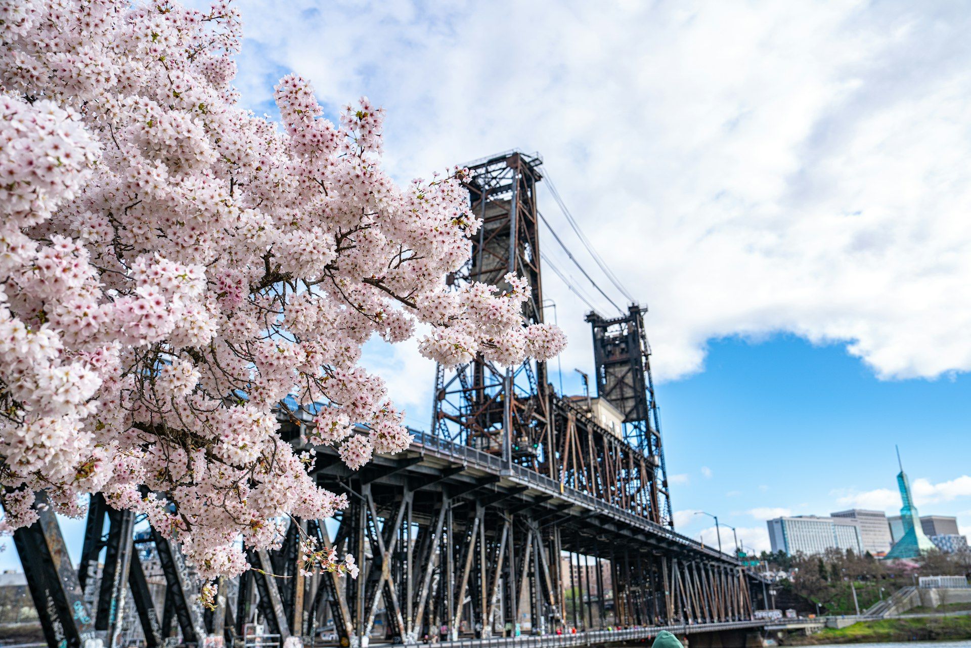 Portland, Oregon skyline — Content Marketing in Portland