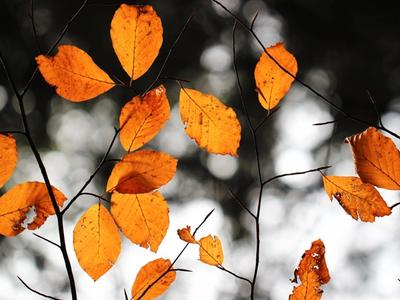 Professional concept illustration for labor day special