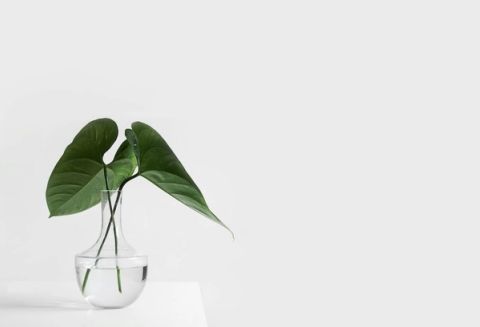 Branding Values Establishing