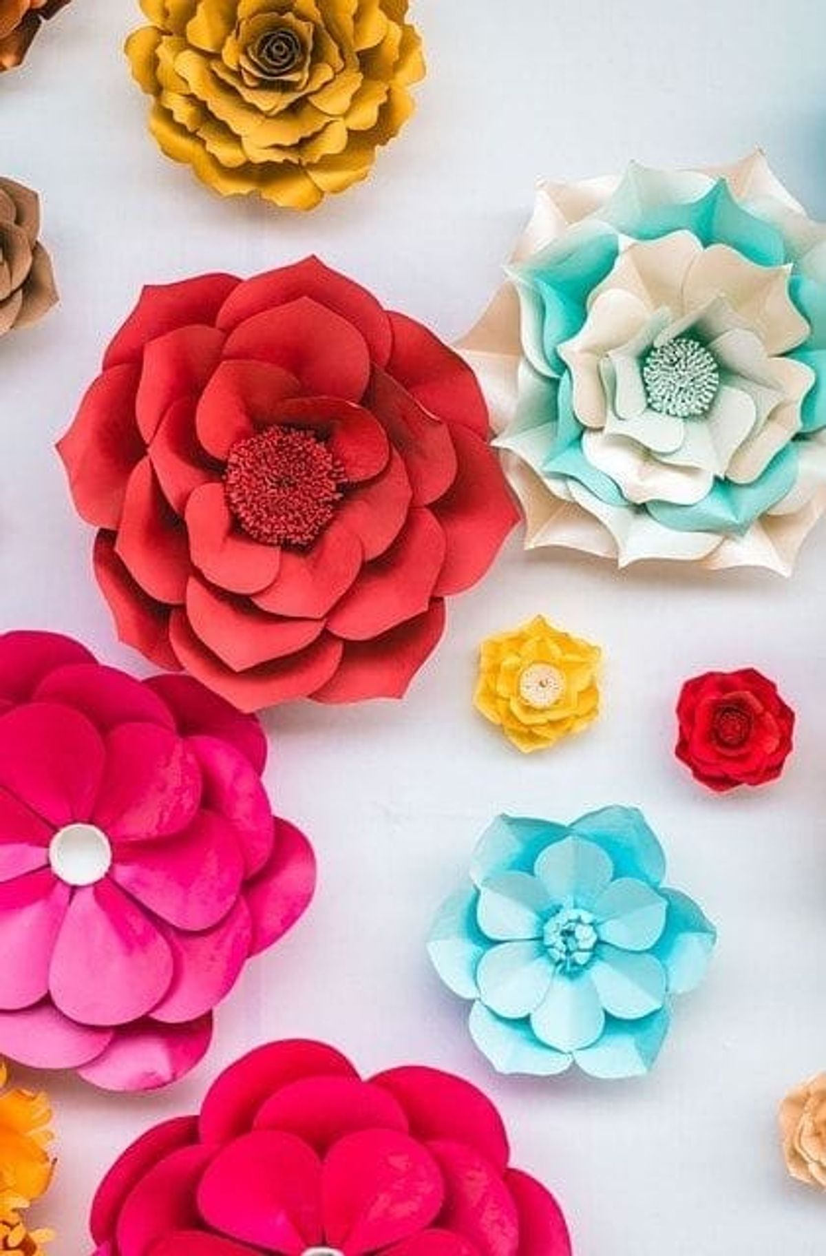 flowers, paper, colorful, color party ideas, color palette, color party, fun, colorful, guests, décor, party, rainbow, decorate