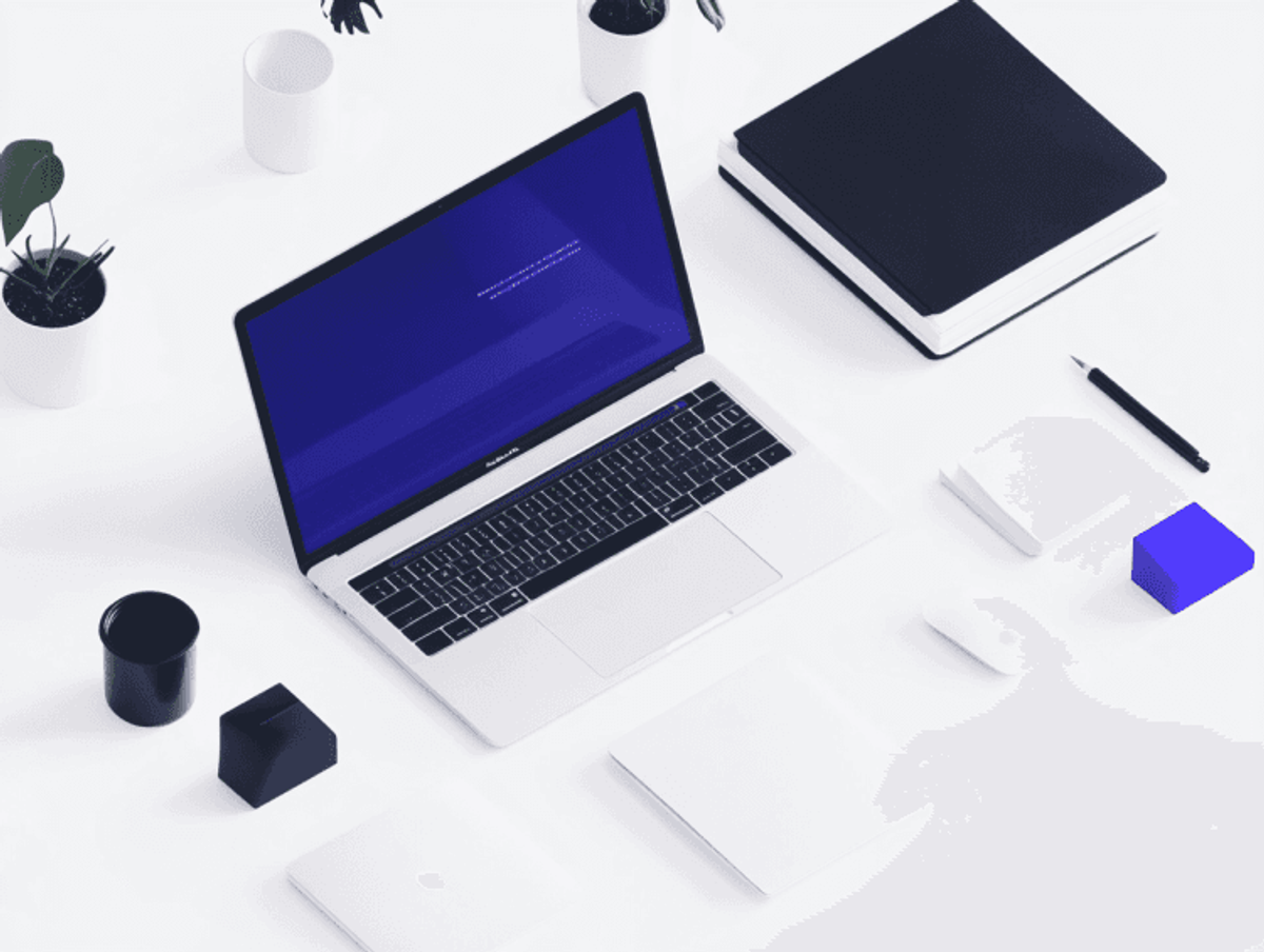 Minimalist workspace with laptop, books, and plants