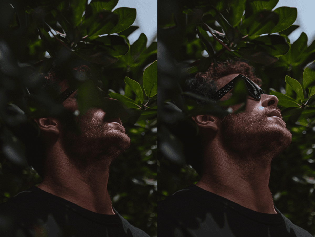 Man wearing sunglasses, surrounded by green leaves.