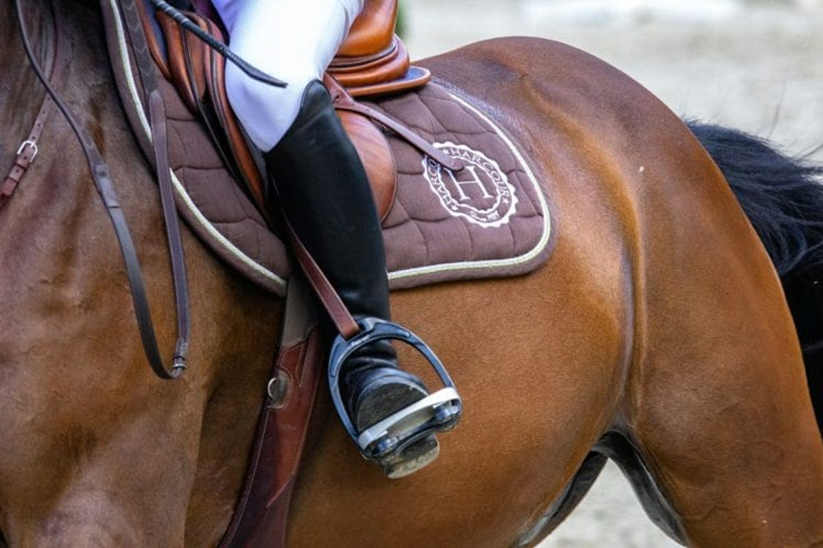 Equestrian rider's boot in stirrup on brown horse