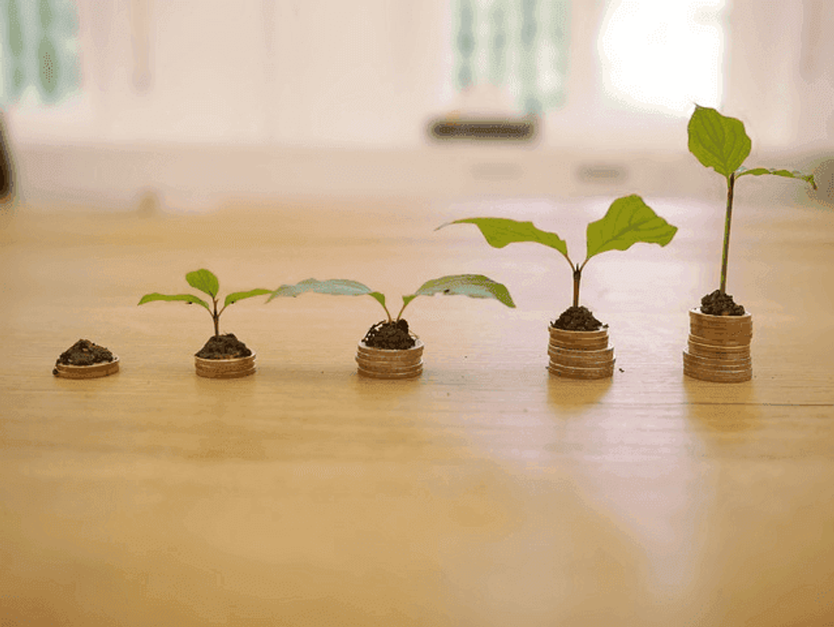 growth, credit, cost, seo services, search engine results, many seo companies, seo campaign