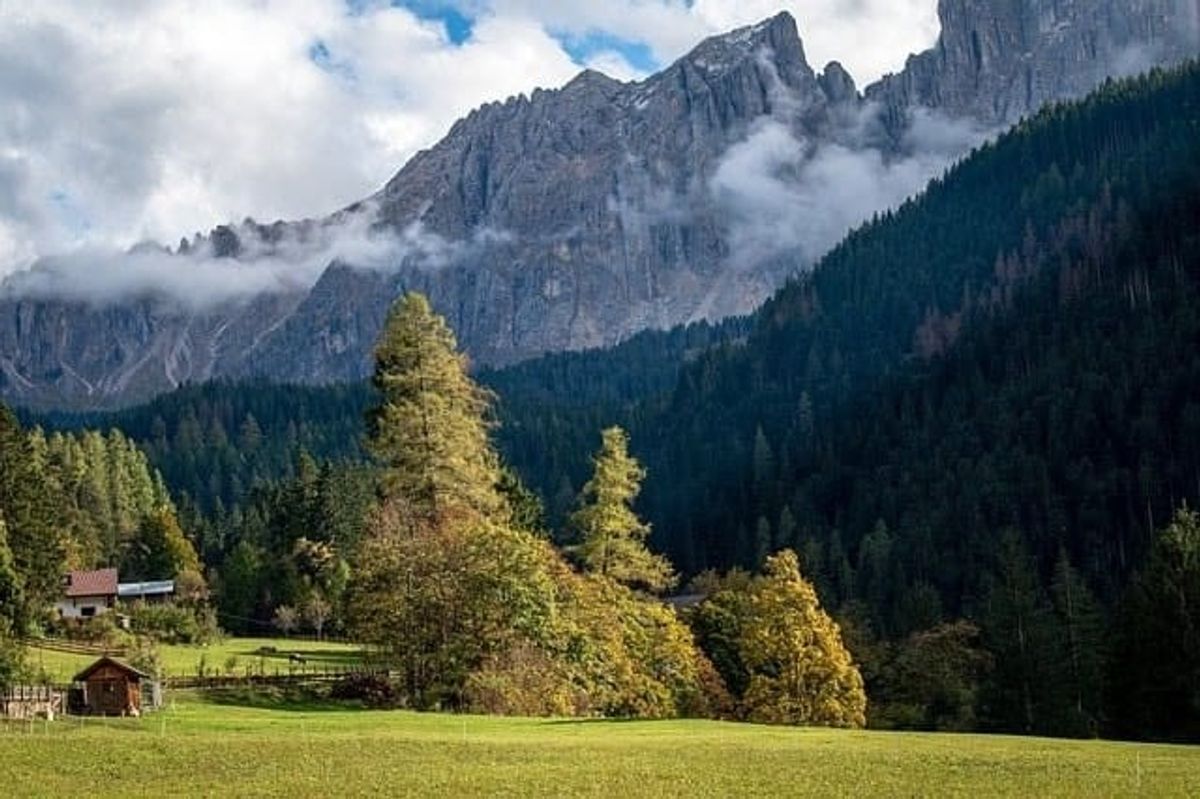 pine forest, coniferous trees, autumn, target audience, online reviews, user generated content, social media platforms, effective tourism marketing, successful tourism marketing, tourism marketing strategies