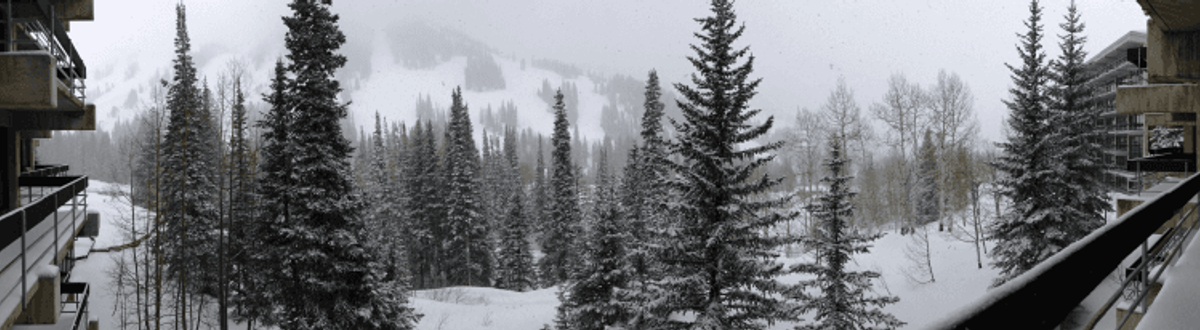 Snowy mountain view with trees and buildings.