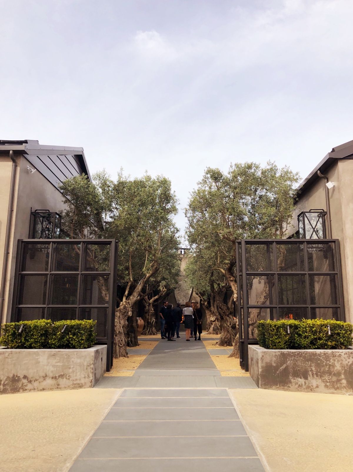 Paved path between two olive trees and open metal gates leading into a courtyard, with people standing at the far end