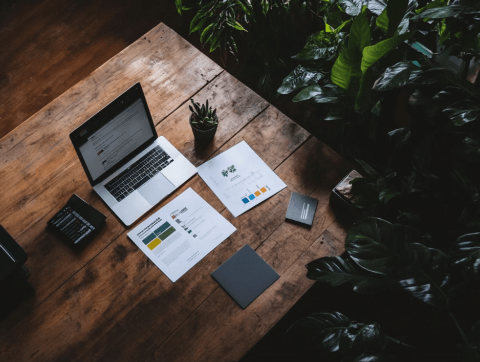 Overhead view of a laptop, printed reports and colour palette sheets laid out on a wooden table beside large green plants