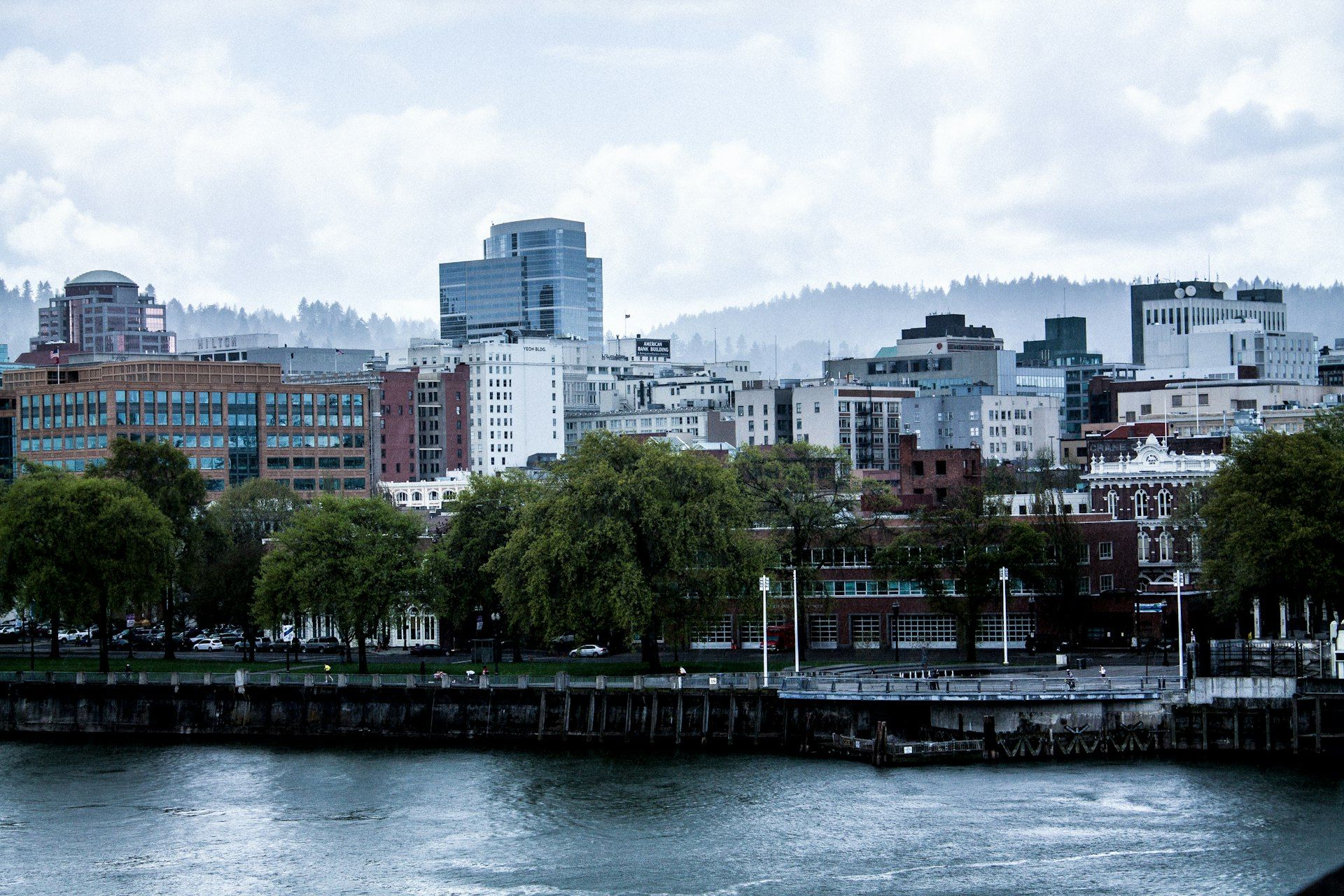 Portland Oregon waterfront skyline near body of water during daytime