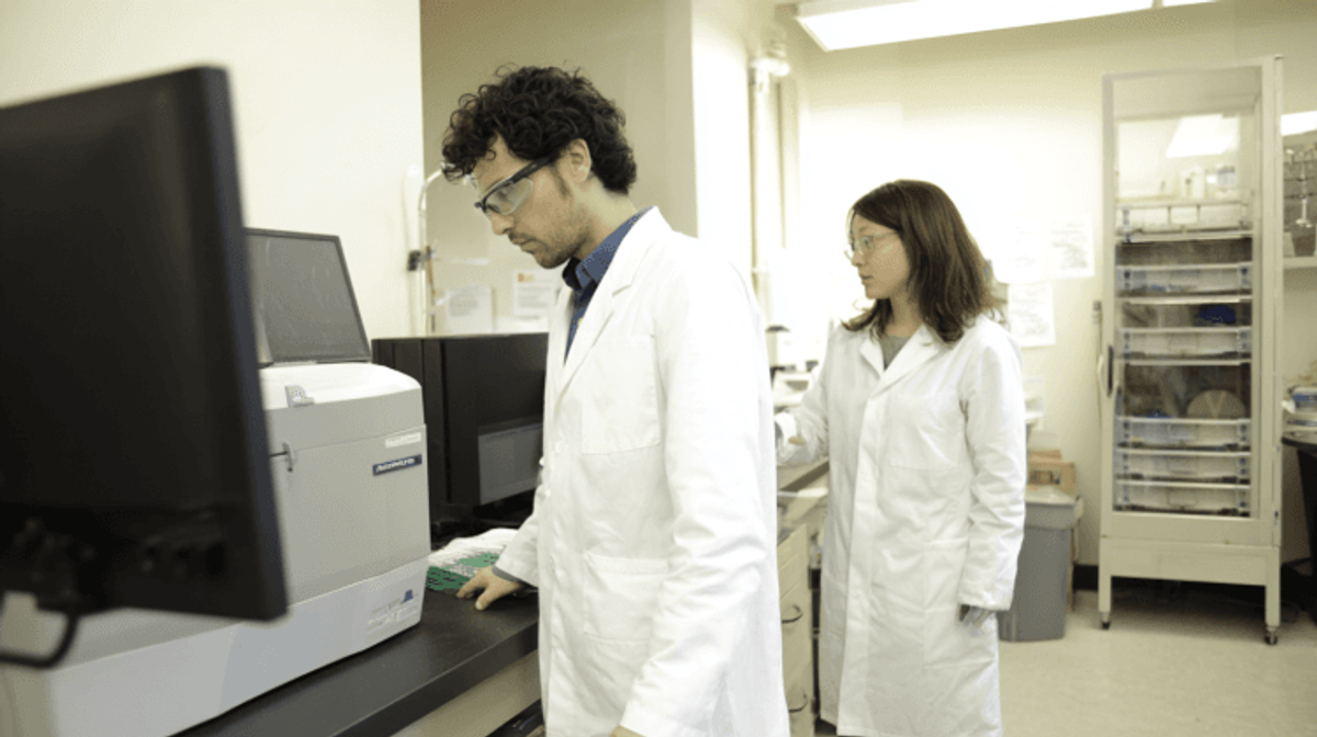 Researchers in lab coats working in a laboratory.