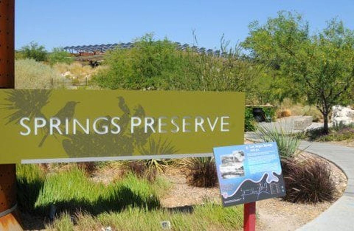 6/5/11: Springs Preserve. (Photo by Glenn Pinkerton)