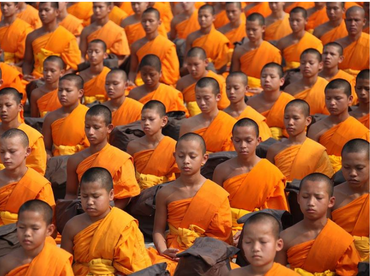 Wise words: where's the old one?