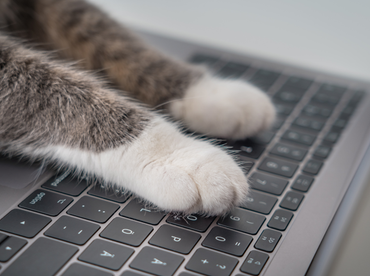 Keep it local with online communities