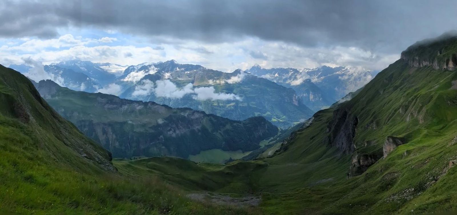 View of the grassy Swiss Alps