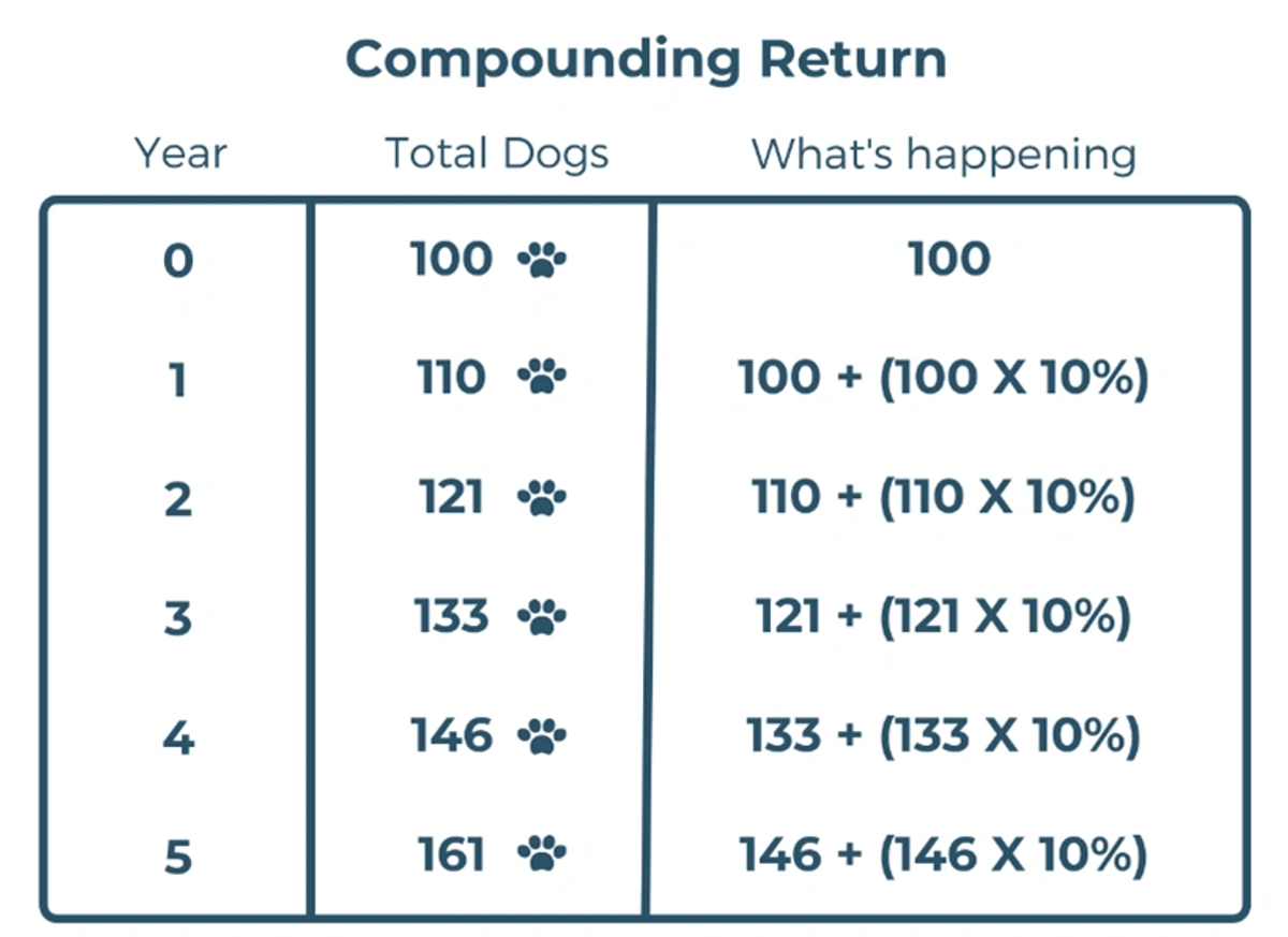 Secret to wealth: compounding returns