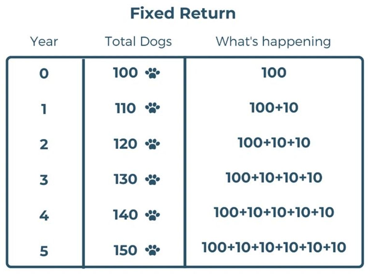 Secret to wealth: compounding returns