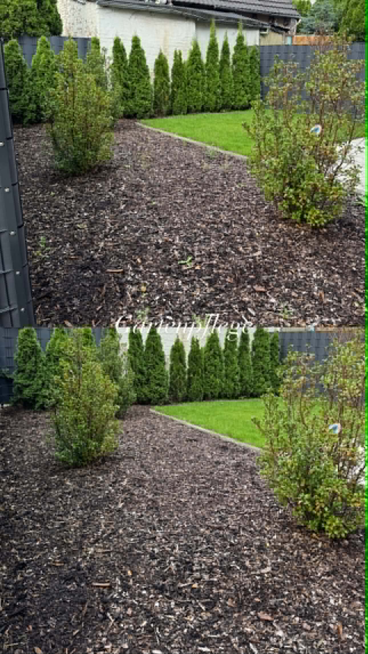 Gepflegte Außenanlage durch Gartenpflege