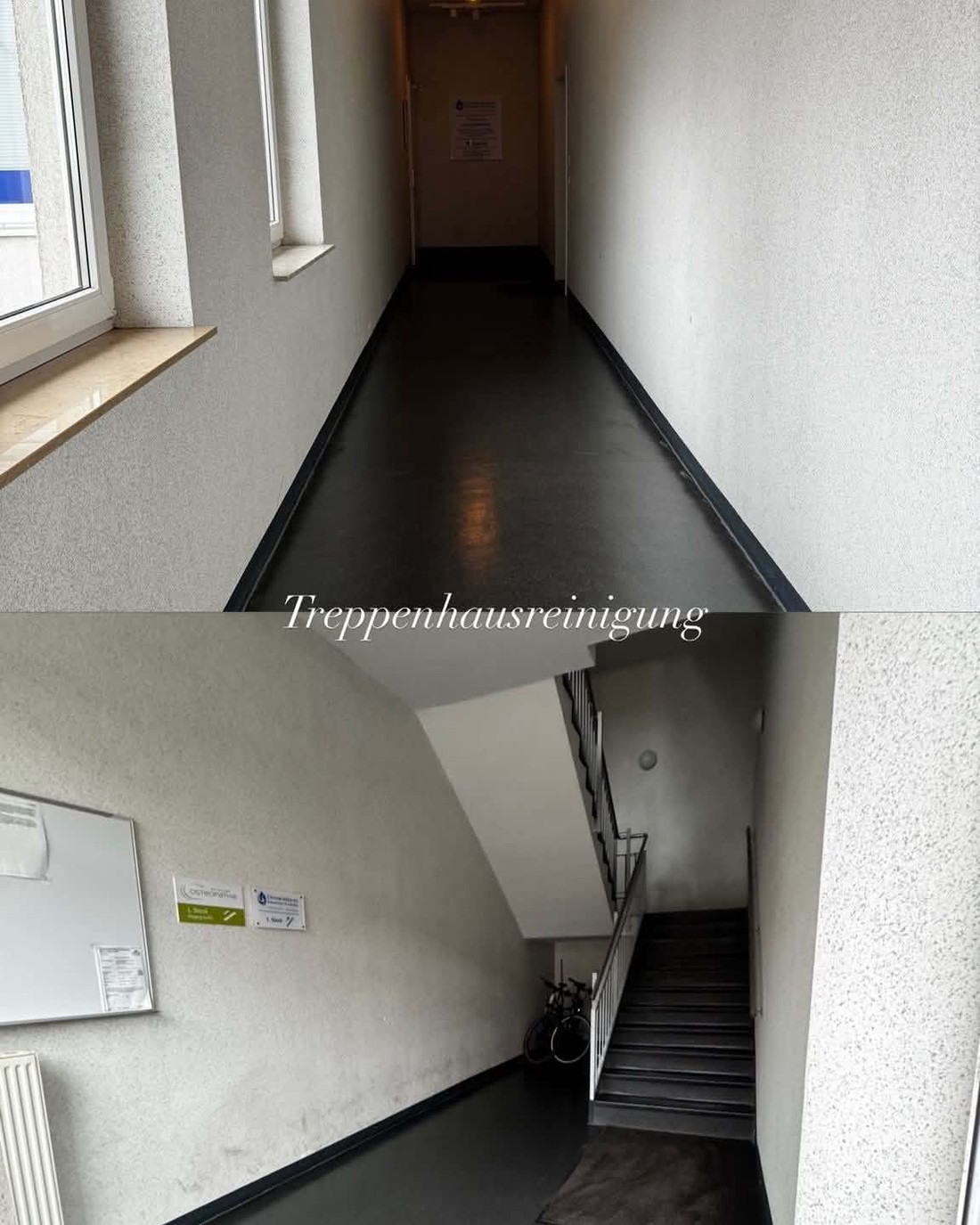 Gebäudereinigung von Murtezi Gebäudereinigung in Braunschweig