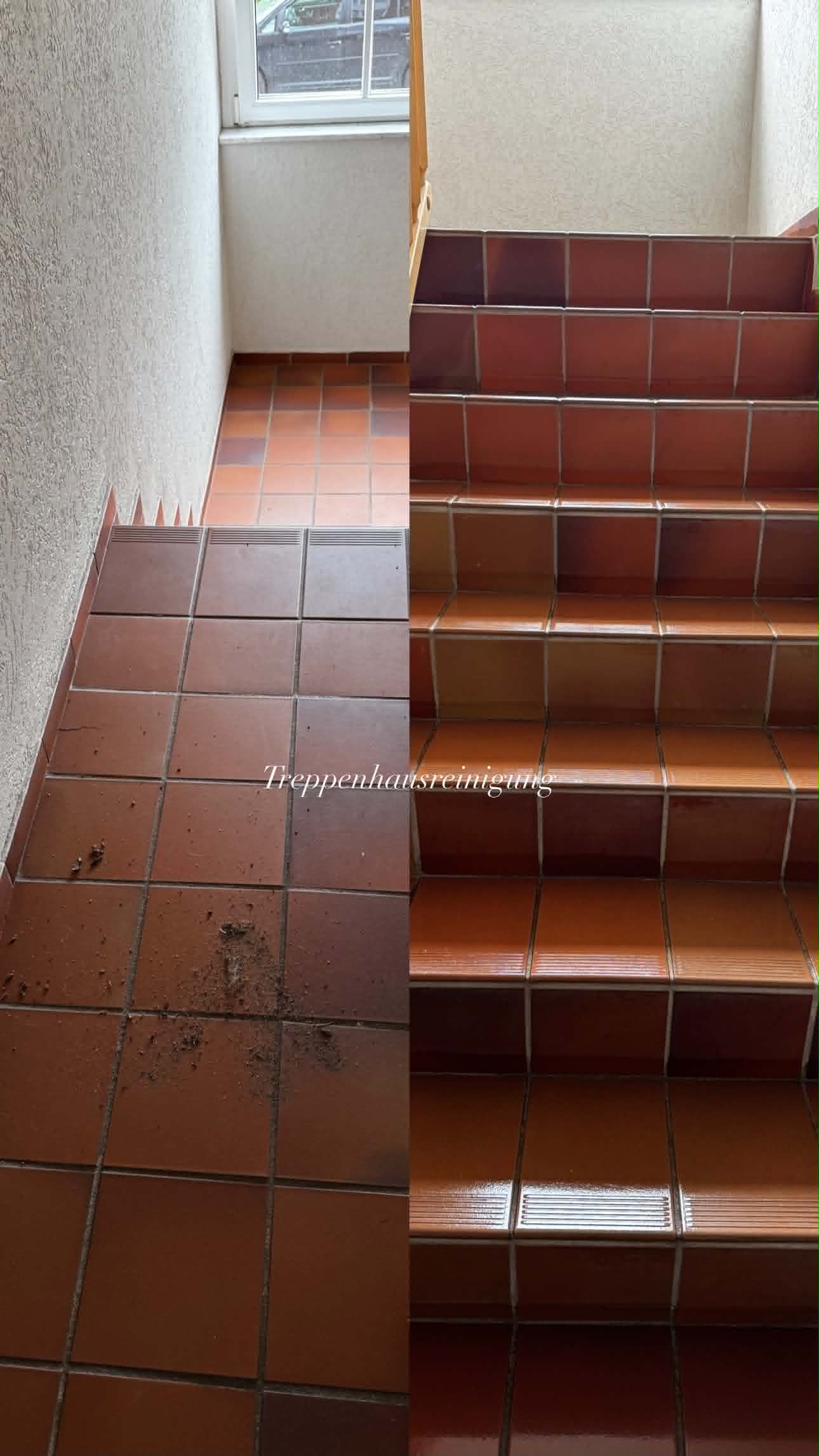 Gebäudereinigung von Murtezi Gebäudereinigung in Braunschweig