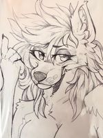 Zeydaan Sketch - by Neon