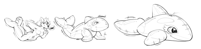 Zeydolphin the Pooltoy