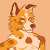 Profile of Mango Mutt