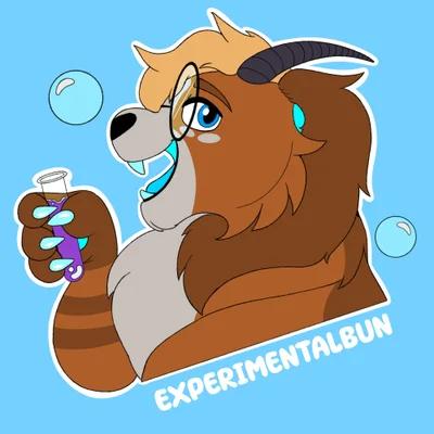 Profile of Experimental Bun