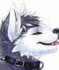 Dokuta