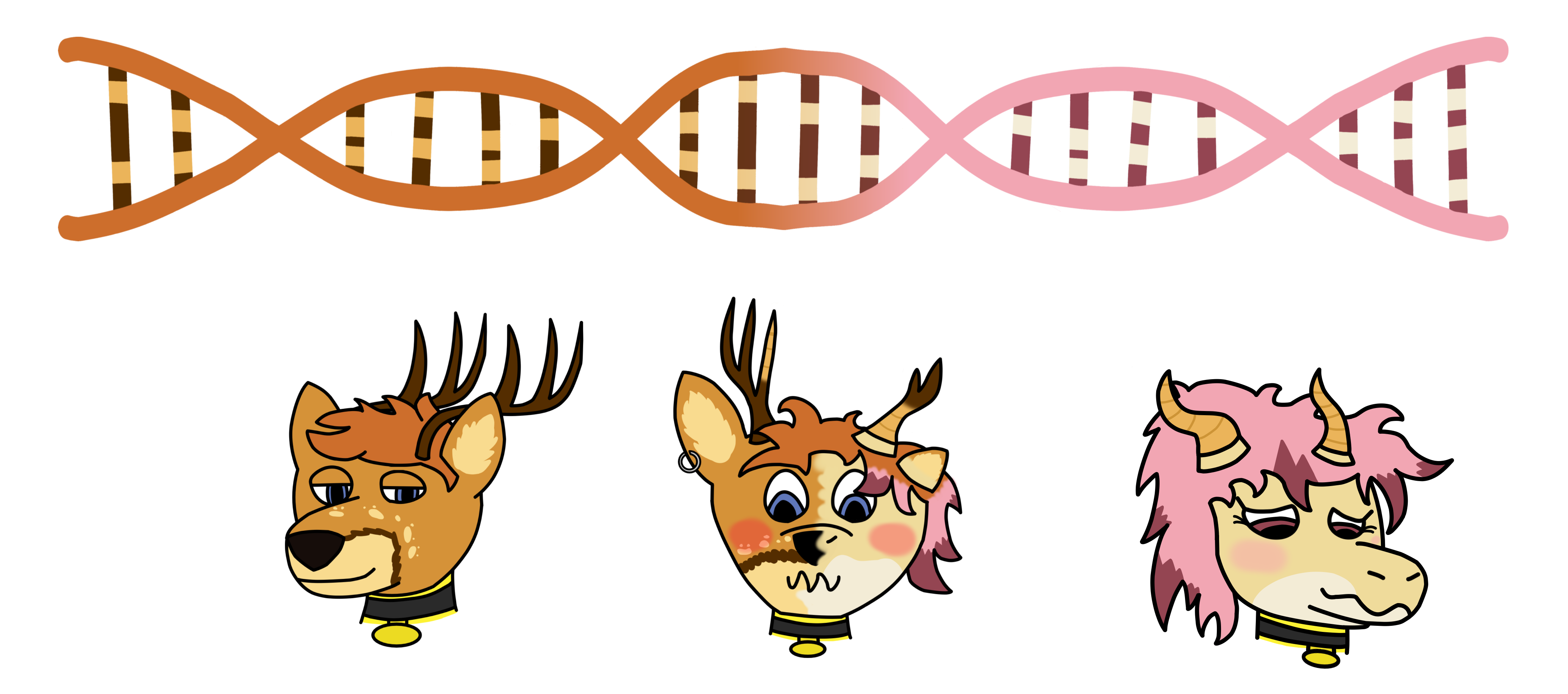 Rossy turning into Isabella, even on a fundamental DNA Level