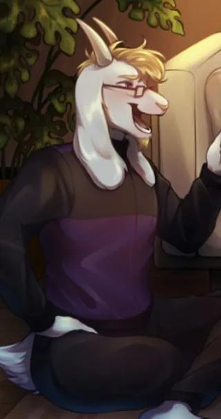 Asriel Reinsford