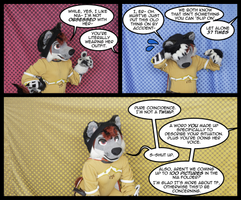 Confuzzled 2023 - Zeydaan's Obvious Denial