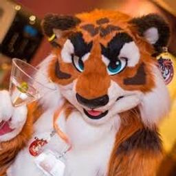 Profile picture of Mechsdog