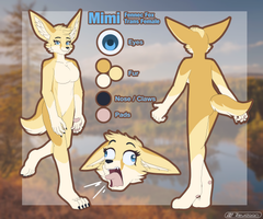 Mimi the Fennec Fox