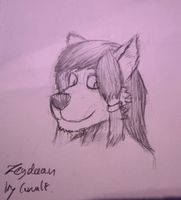 Zeydaan - by Cervalt
