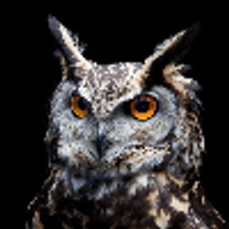 Profile picture of Mat_