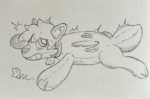 Zeydaan the Pooltoy Ring