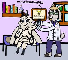 Tending to Bean's Wounds