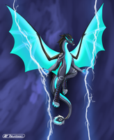 Commanding the Storm