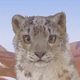 Profile picture of K.M.A.