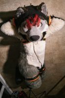 Zeydaan Bound and Leashed