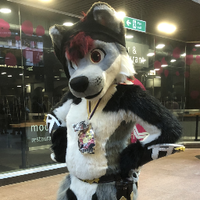 Image for tag: Fursuit