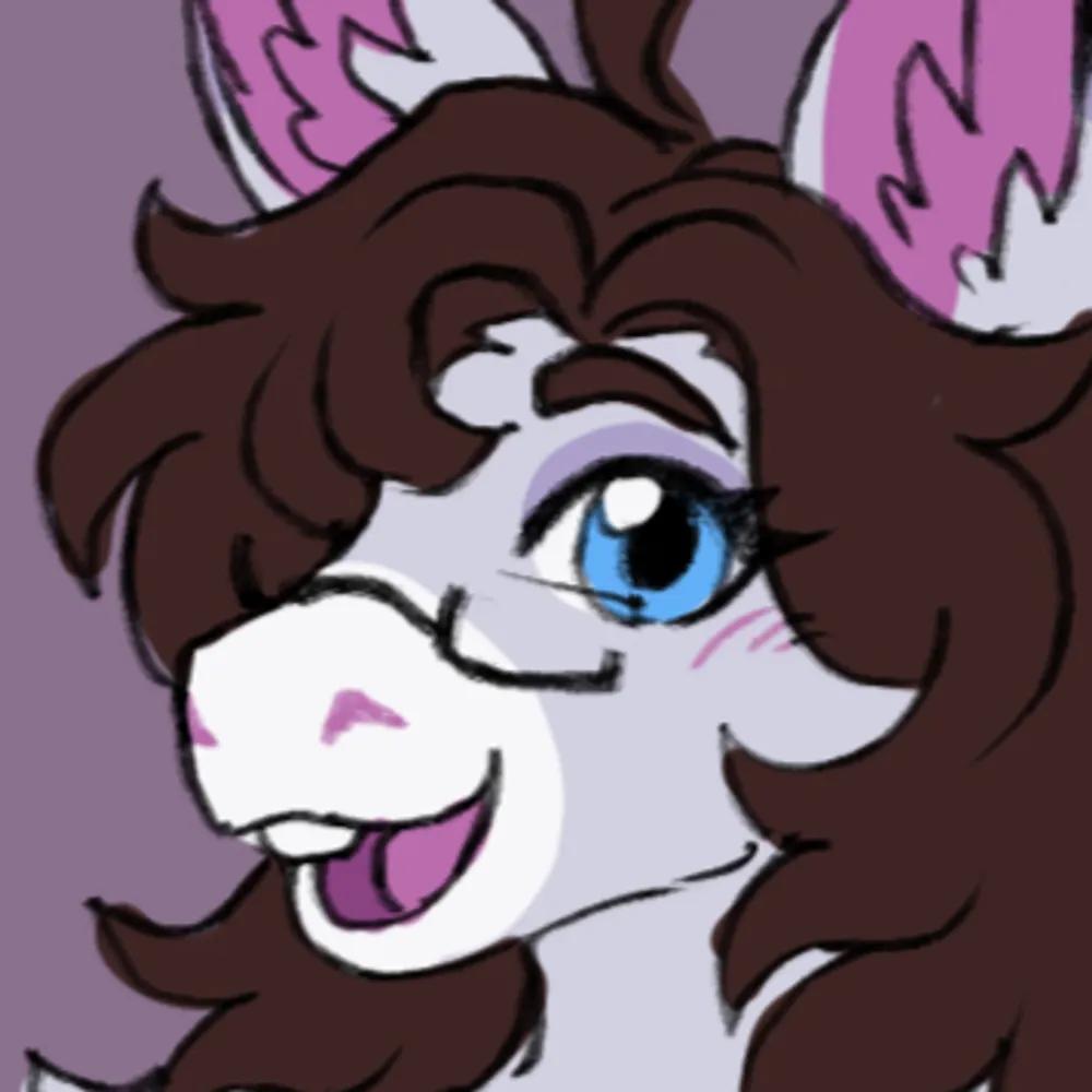 Profile of Squeakitties