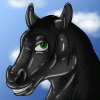 Profile of Zorr Dragon