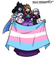 The Transogy Outfit Trio