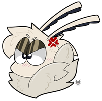 Angry Small Bean