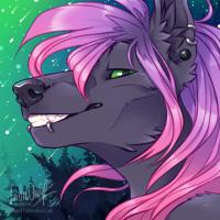 Indiwolf