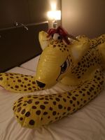 Bean and the Cheetah Toy