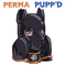 Perma Pupped