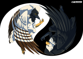 Bird of Light and Bird of Dark